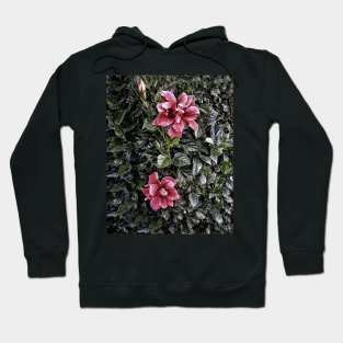 Frosted Hibiscus Hoodie